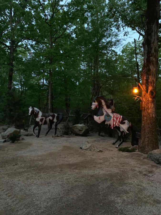 Fox Pass Cabins Bed and Breakfast Hot Springs Esterno foto