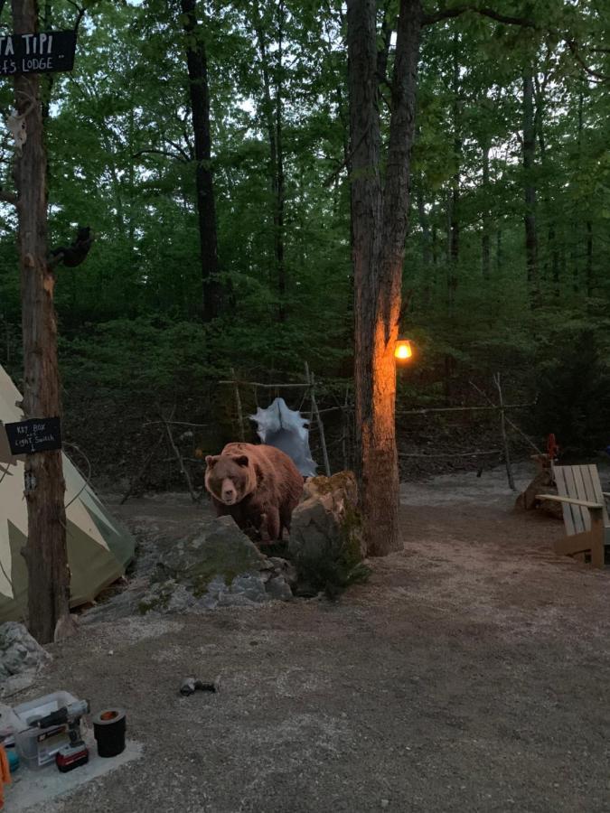 Fox Pass Cabins Bed and Breakfast Hot Springs Esterno foto