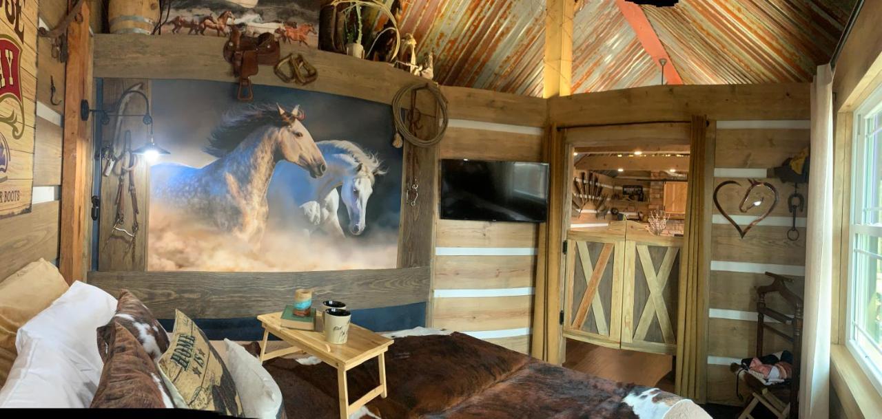 Fox Pass Cabins Bed and Breakfast Hot Springs Esterno foto