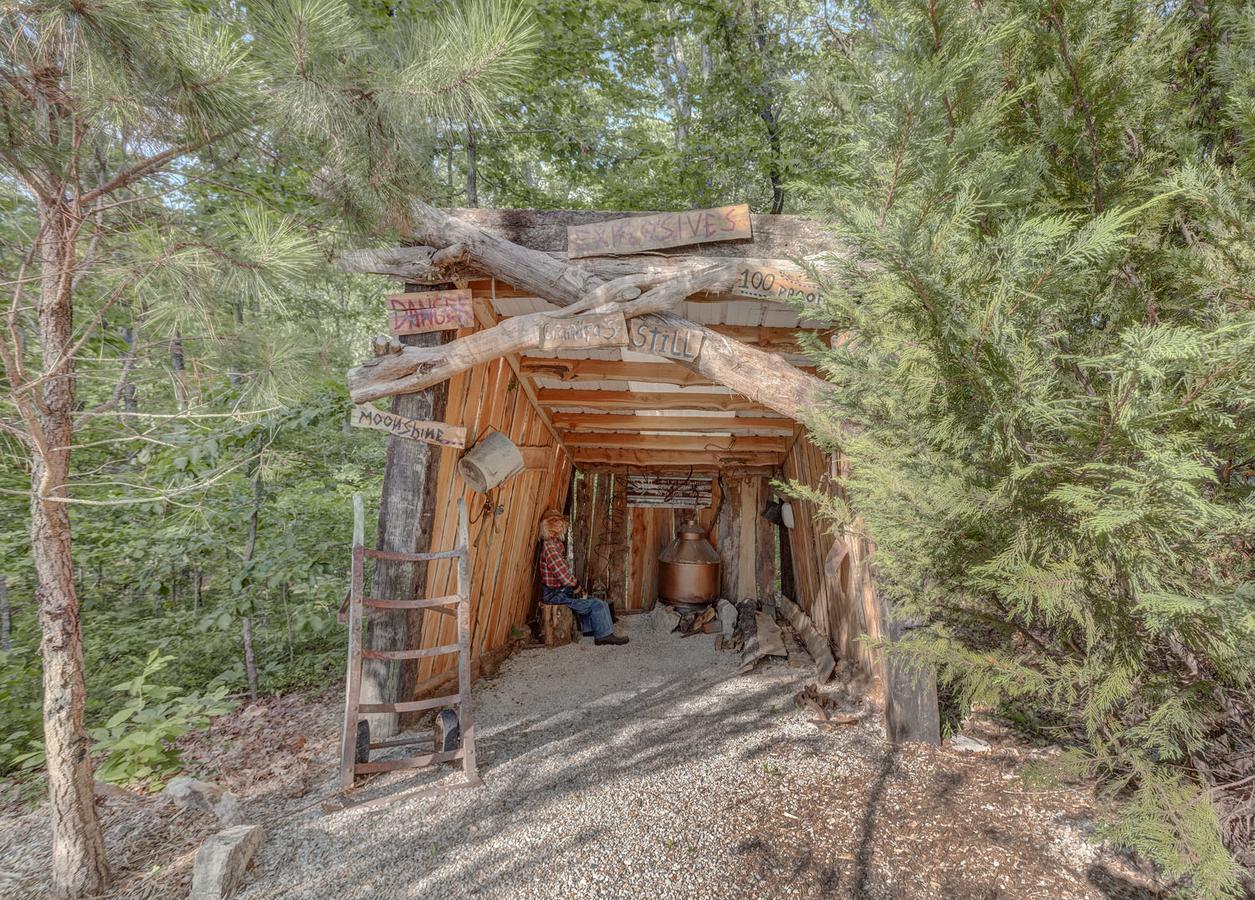 Fox Pass Cabins Bed and Breakfast Hot Springs Esterno foto
